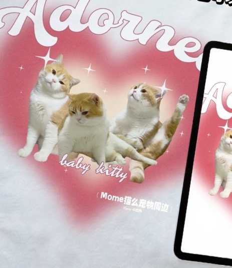 甜蜜暴击-爱心猫咪T恤定制上线啦